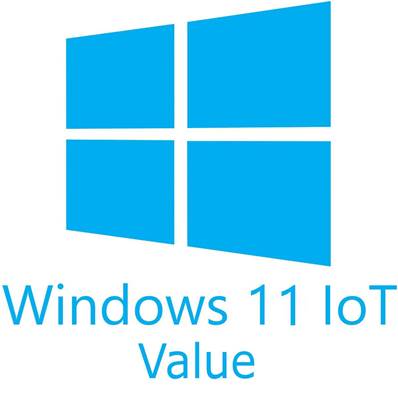 WINDOWS 11 IoT Value